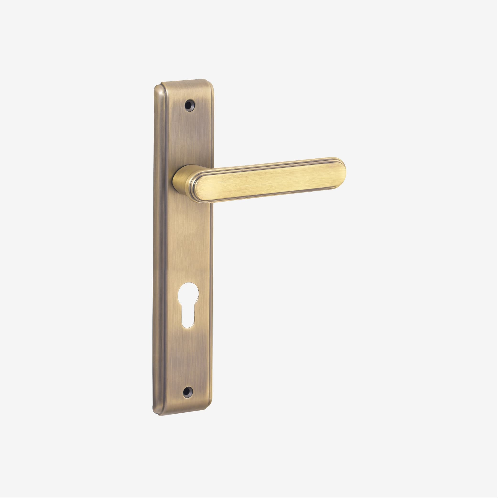 Dorset Zamor Mortise Lock — image 1